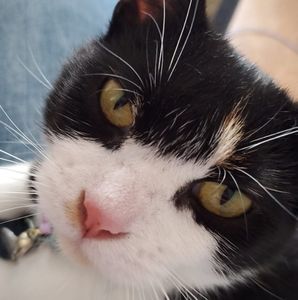 Meet your Posher, Kelly